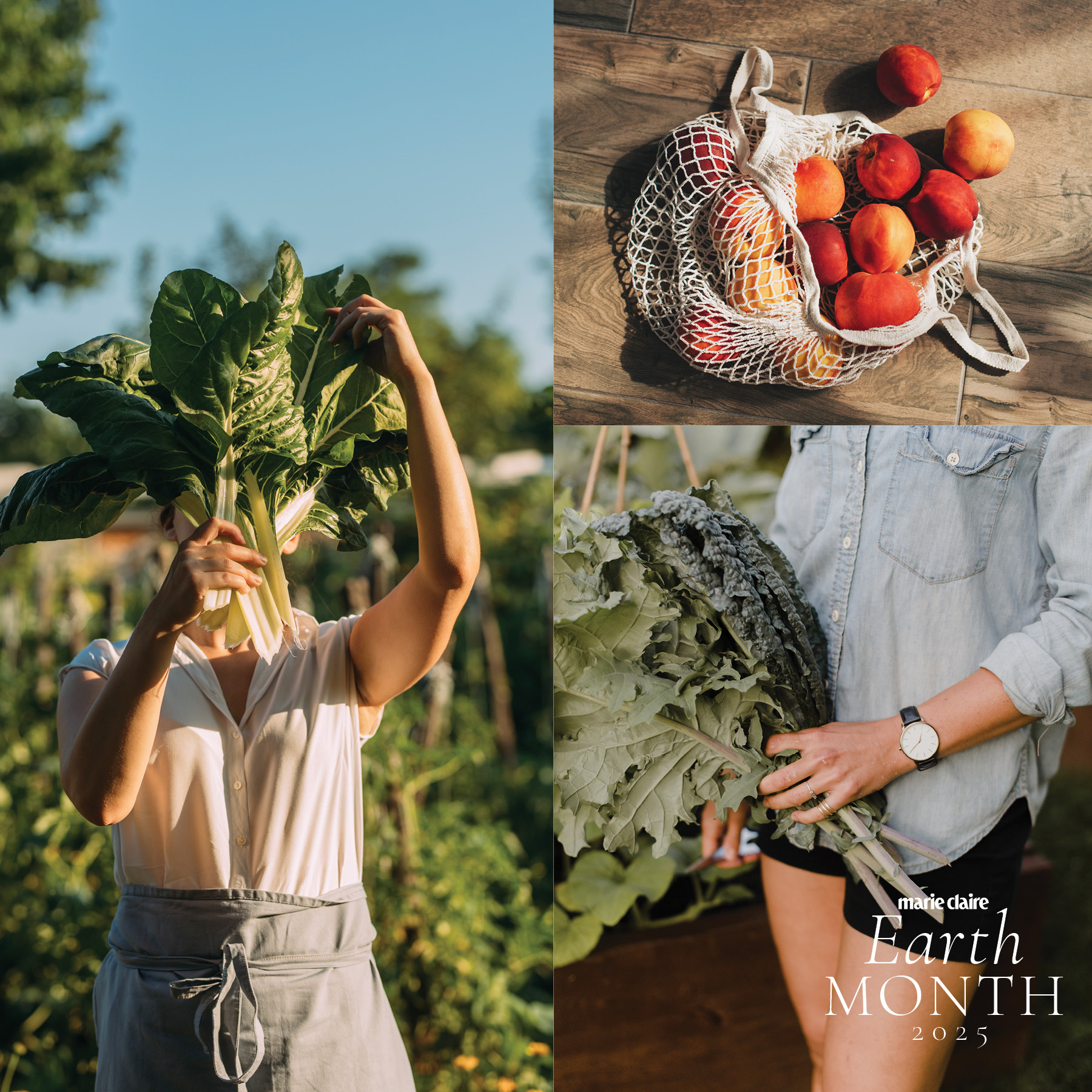 Sustainable living: A woman picking her own vegetables, meditating in the grass and recycling her household waste